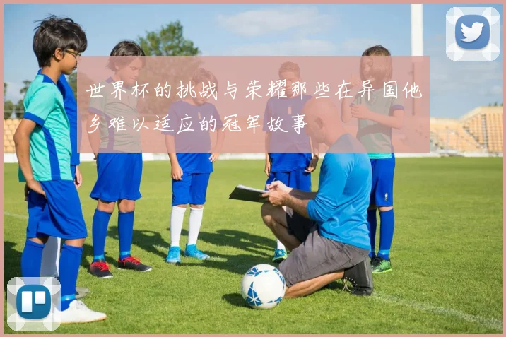 世界杯的挑战与荣耀那些在异国他乡难以适应的冠军故事