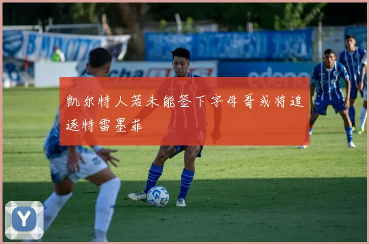 凯尔特人若未能签下字母哥或将追逐特雷墨菲