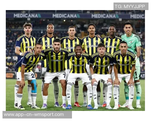 土耳其前国脚与土甲球队解约赛季表现不佳引发争议